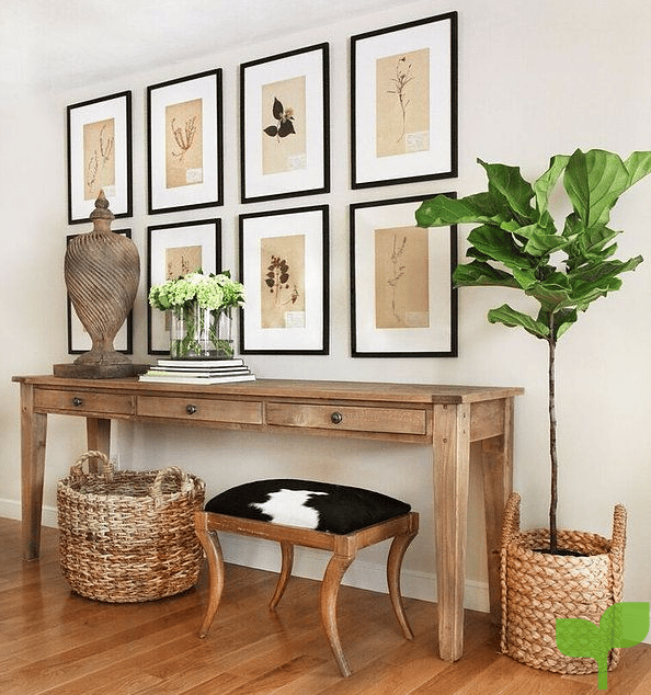 Decorar un recibidor con plantas