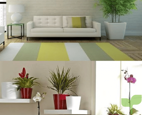 ideas para decorar con plantas