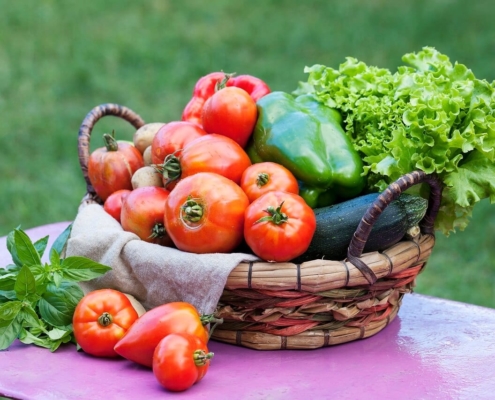 Cestas eco-amigables para frutas y verduras frescas - ¡Cuida tu salud y el planeta!
