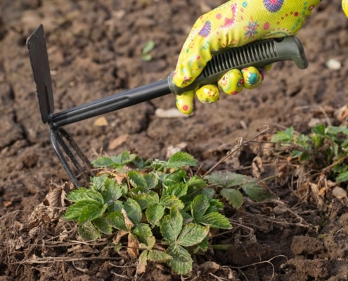 El azadón de pico: la herramienta perfecta para trabajos de jardinería y agricultura