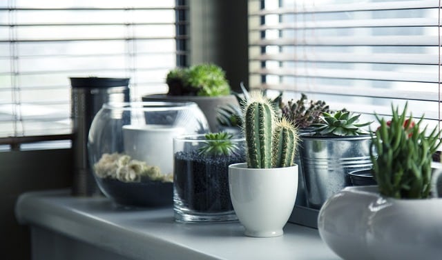 Vinilos para ventanas exteriores: La solución perfecta para protección y decoración