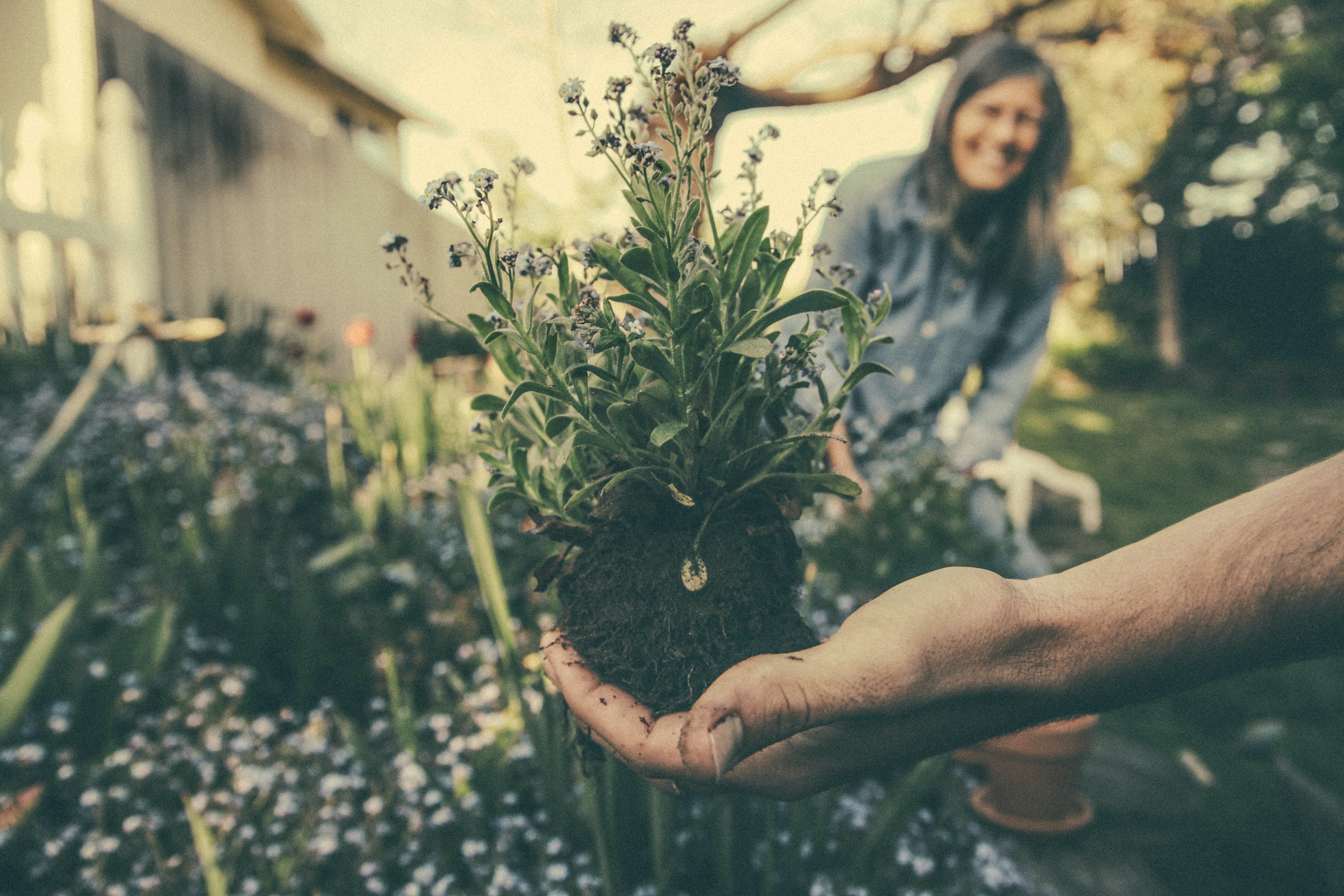 Jardineras Lechuza: la solución perfecta para tus plantas